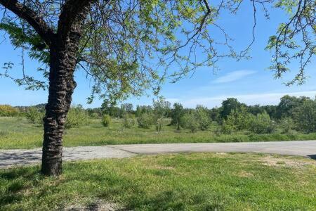 Country Charmer Single Story Cottage Pet Friendly Loomis 외부 사진